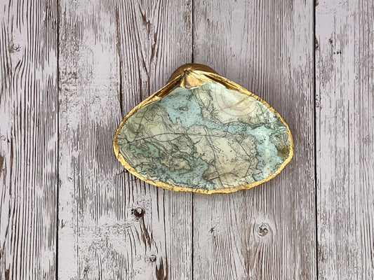 Medium Clam Shell Ring Dish with Nautical Chart