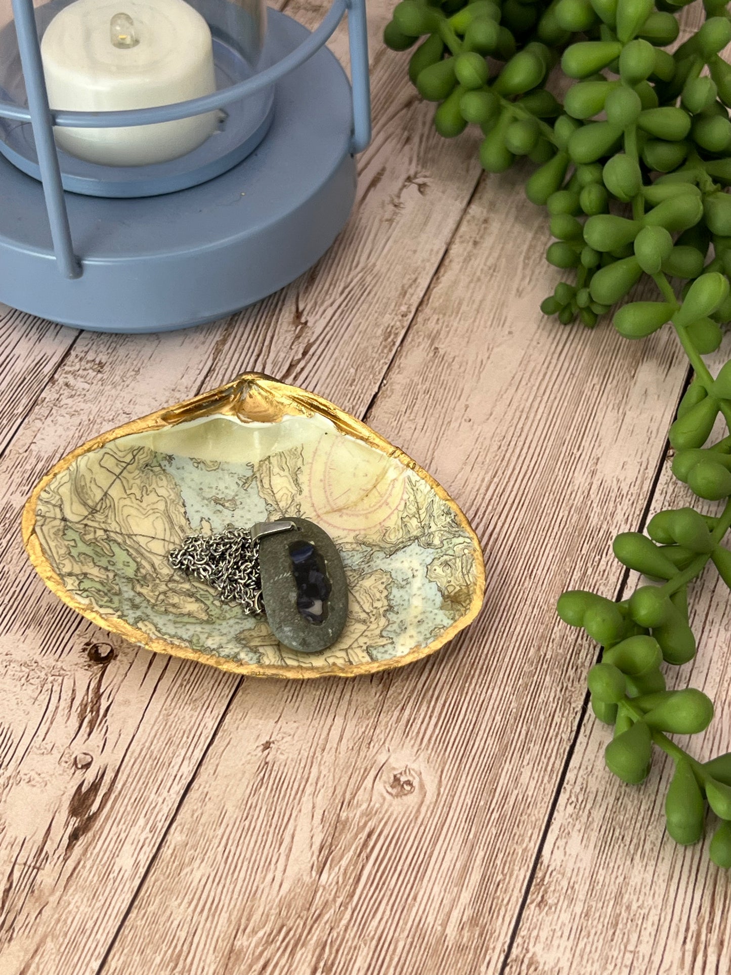 Medium Clam Shell Ring Dish with Nautical Chart