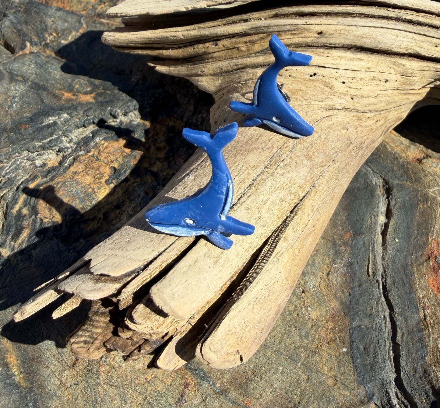 Humpback Whale Studs