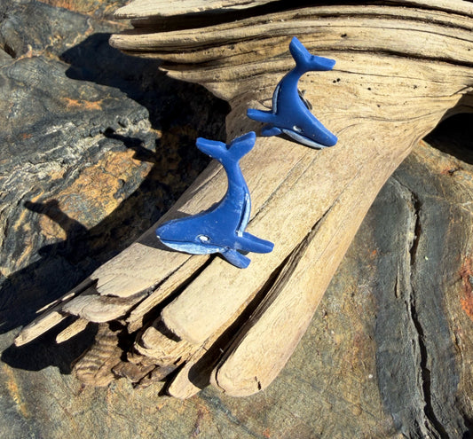 Humpback Whale Studs